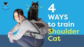 Shoulder Cat Training: Teach Your Cat To Jump and Sit On Your Shoulder