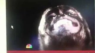 NBC Airs Racist Monkey Commercial After Gabby Douglas Wins Gold Medal For Team USA Review