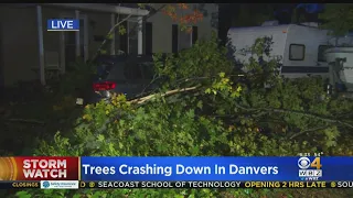 Danvers Hit With Scattered Damage Following Overnight Storm