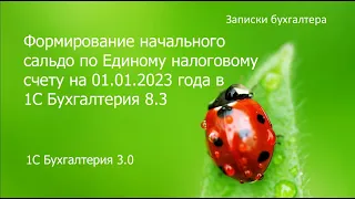 Формирование начального сальдо по ЕНС на 01.01.2023 г. в программе 1С Бухгалтерия 3.0