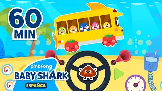 ¡Vamos por un Paseo! | Canciones Infantiles | Cuentos Infantiles | Baby Shark en español