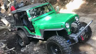 The Rubicon Trail 2019 - Part III - Alpine Lizard CJ5 and Chevy K10 - CJ 5 Loves the Rubicon Trail