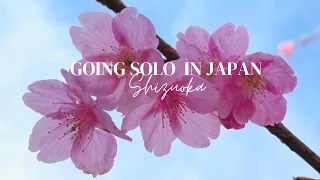 Life in Japan : Exploring SHIZUOKA | Kawazu-zakura | Cherry Blossom Festival | Lots of Food