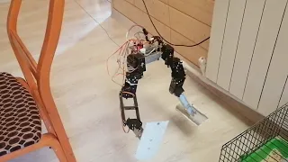 Обучение робота ( Обучение с подкреплением )