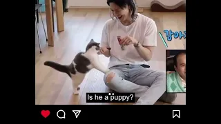 Taemin and his cat 💜🐈#kpop #taemin #taeminshinee #shinee #catlover