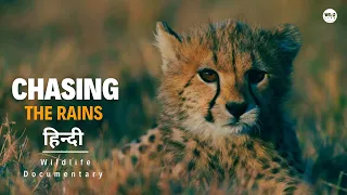 Wild Kenya 3 - हिन्दी डॉक्यूमेंट्री | Wildlife documentary in Hindi