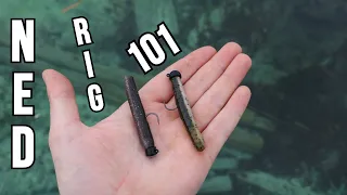 NEVER Used a Ned Rig? WATCH THIS (Ned Rig 101 it Catches EVERYTHING)