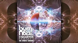 Burn In Noise - 3 Quartos ( Cymatic Remix) Original Mix