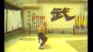 Gordon Liu - Hung Ga "Tiger and Crane Double Form Set" (Fu Hok Seung Ying Kyun)