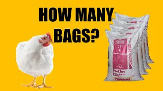 How many bags of feed does it take to raise BROILERS?