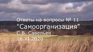 С.В. Савельев - Самоорганизация