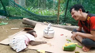 Tolinh picked fruit for Cuong's father