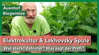 Elektrokultur mit Lakhovsky Spule - Was steckt dahinter? | Auenhof | Rundgang 2 | 2023