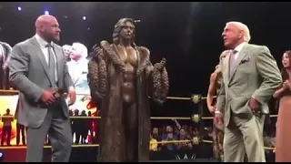 The moment I was presented my statue at WrestleMania!