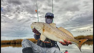 Redfish Action On A Windy Day!