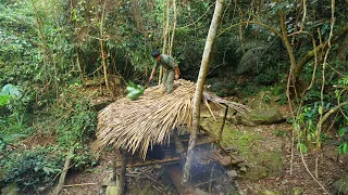 Solo Bushcraft: Go back to the old shelter. Cooking and spending the night in the forest  | Day 62