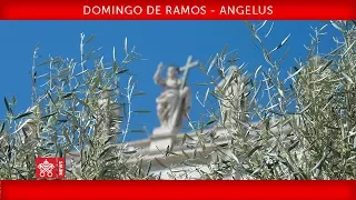 Papa Francisco - Celebração do Domingo de Ramos - Oração do Angelus 2019-04-14