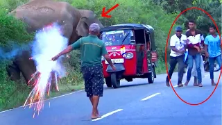 Shot Of The Elephant After Attack Tuk Tuk In Jangle