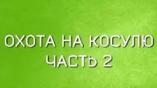 ОХОТА НА КОСУЛЮ. ЧАСТЬ 2. DEER HUNTING part 2