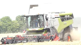 CLAAS Lexion 6600 im Lagergetreide