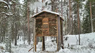 Building a Treehouse in Harsh Winter Conditions