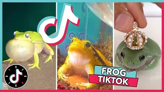 WELCOME TO FROG TIKTOK 🐸 2021 Frog Tik Tok Compilation