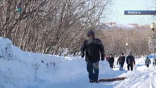 Необычную посылку обнаружили полицейские в Воркуте