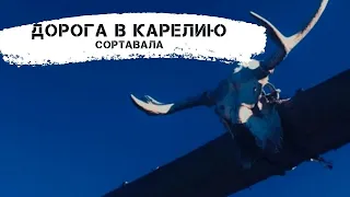 ДОРОГА В КАРЕЛИЮ/СОРТАВАЛА/НА ПУТИ К ГОРЕ ВОТТОВААРА