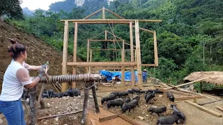 FULL VIDEO: 3 Year The Process Of Building Farm Off Grid, BUILD LOG CABIN Wooden House In The Forest