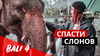 Бали. Жить в отеле со слонами. Рисовые террасы в Убуде