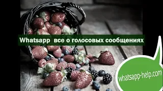 Whatsapp  все о голосовых сообщениях