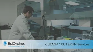 CUTANA™ CUT&RUN Services: Your partner for premium chromatin mapping services