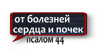 старинная молитва от болезней сердца и почек незримый щит