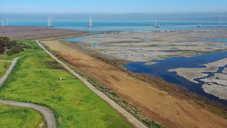 Here's how horizontal levees protect shoreline projects in San Francisco Bay