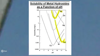 Soil Remediation and Heavy Metals Fixation