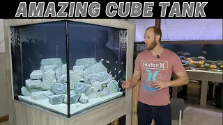 My 280g aquarium tore open! So why did I redo my 200g Cube Tank?