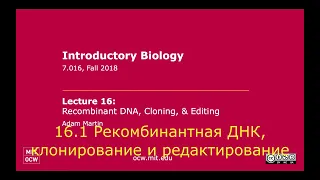 16.1. Рекомбинантная ДНК, клонирование и редактирование.