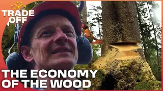 The Economy Of The Wood | Lumberjack Lives Full Documentary