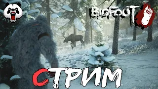 BIGFOOT🎥СТРИМ🎥 16+//ОХОТА НА БОЛЬШЕЛАПОГО//БИГФУТ//