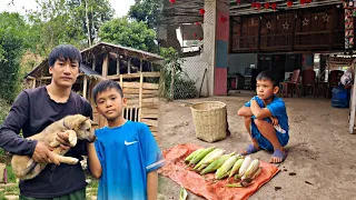 Poor boy- Harvesting corn to sell. Surprise gift from a kind uncle