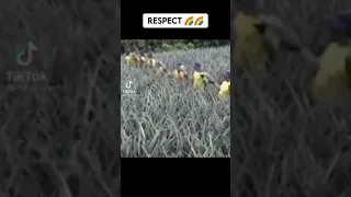 🔥respect moments respect 59