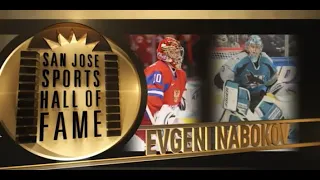 Evgeni Nabokov: 2018 San Jose Sports Hall of Fame Inductee