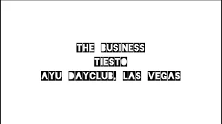 The Business / Tiesto / AYU Dayclub / Las Vegas, NV