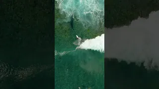 POV: You're Surfing the World's Most Famous Wave Teahupoo