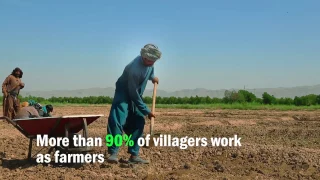 Supporting Agriculture Productivity in Rural Afghanistan