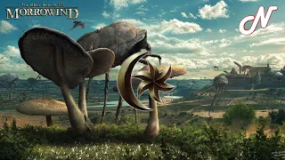 Morrowind ONLINE l TES3MP l Сервер Eternal World #2