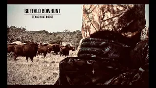 Bowhunting a BEAUTIFUL Buffalo at Texas Hunt Lodge - Bow Kill Shot