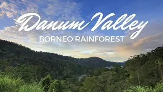 Danum Valley Borneo Rainforest by Rustic Travel
