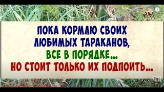 ПРИКОЛЫ,ШУТКИ,АНЕКДОТЫ.СмЕшНыЕ СоВеТы.Юморнём?