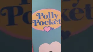 TikTok Trend: Collector Check | Polly Pocket Collection